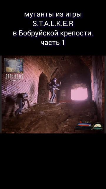 S.T.A.L.K.E.R мутанты в Бобруйской крепости. часть 1