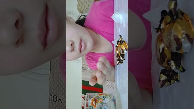 Jane asmr