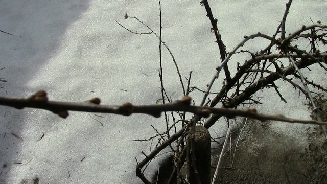 Муромцево 31 марта 2025г Март м///ц на исходе.
