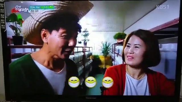 꽃지누리굼벵이 농장 6시내고향  방송