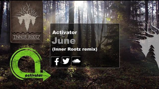 Activator - June (Inner Rootz remix)