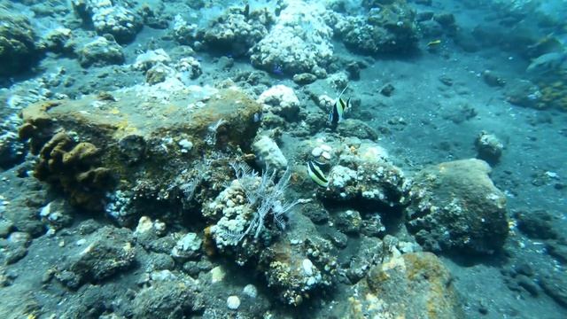 Scuba Diving 4K | USAT Liberty Wreck | Bali | Shipwreck Scuba | Indonesia