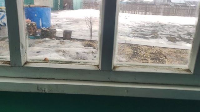 То снег, то дождь,погода не радует.