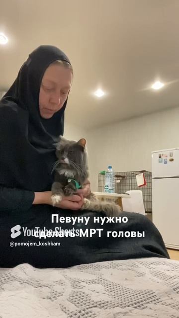 Певуну нужно сделать МРТ головы, но я сомневаюсь перенесёт ли он наркоз???