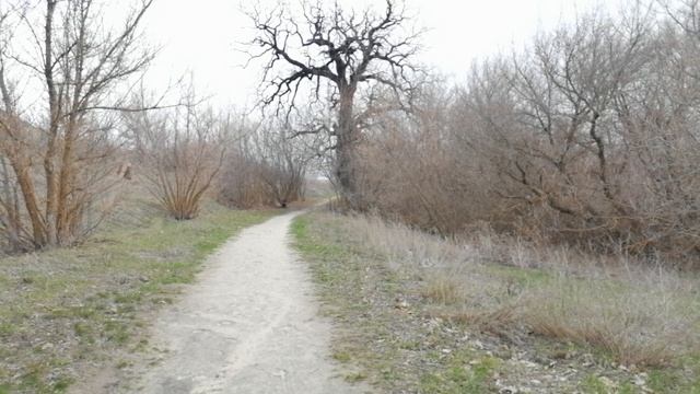 Святой источник Ольховка