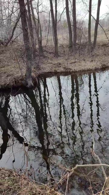 Маленький релакс