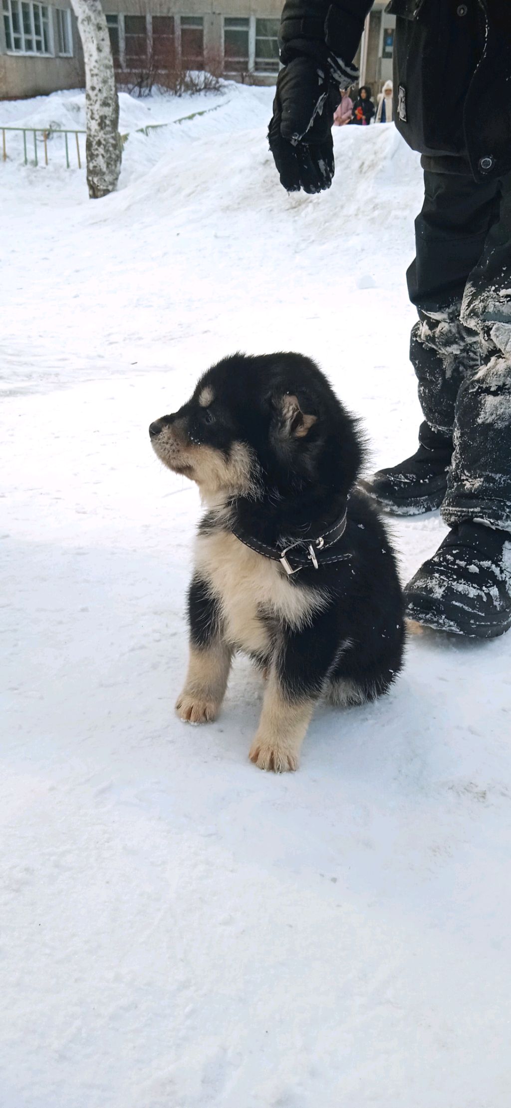 еееее