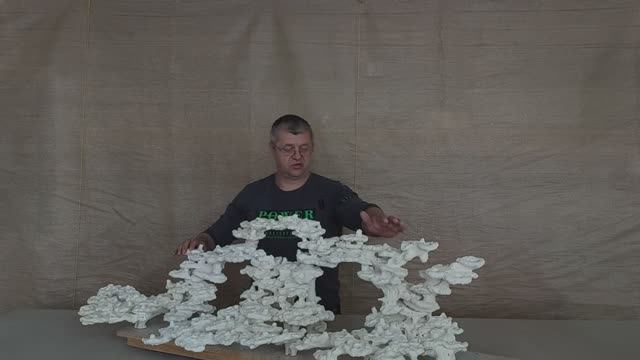 КДС-501 Скейп из биокерамики для морского аквариума.