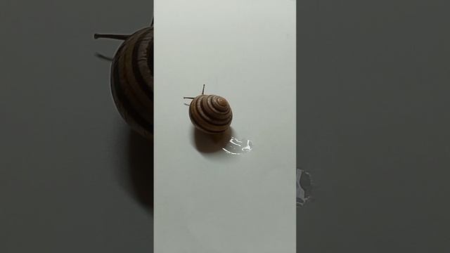 79887ced-fcaf-4695-be54-eafe84ad2906-1_all_439.mp4