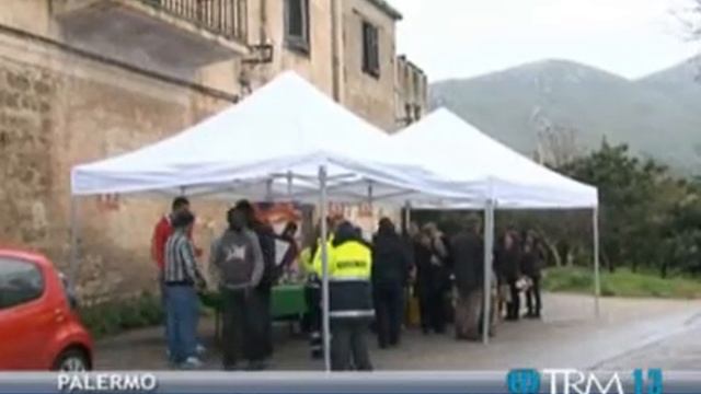 02/03/13 - "Il mandarino tardivo" protagonista della solidarietà