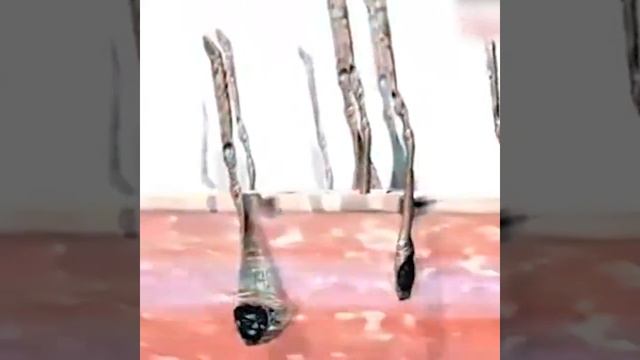 Epilators for women men face epilator leg Armpit epilator