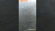 Тренировка к первому этапу Золотой Рыбки 2025г! 22 марта 2025г! НМРToday!