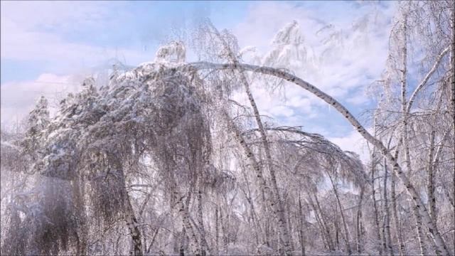 Зимняя сказка