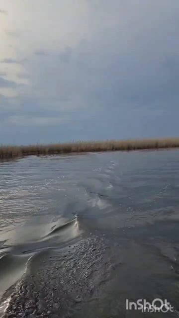 22 щуки и 1 окунь.