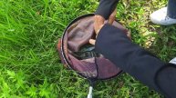 Fishing for tilapia on a hot sunny day can encounter many different species of fish - JonTobi