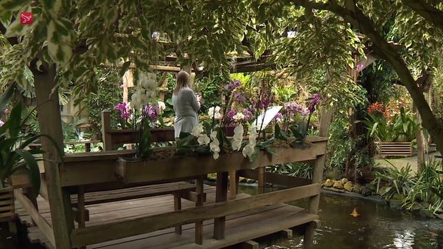 De Orchideeën Hoeve is weer open en het is gelijk gezellig druk