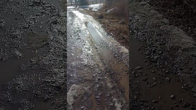 VID_20250331_160045.mp4