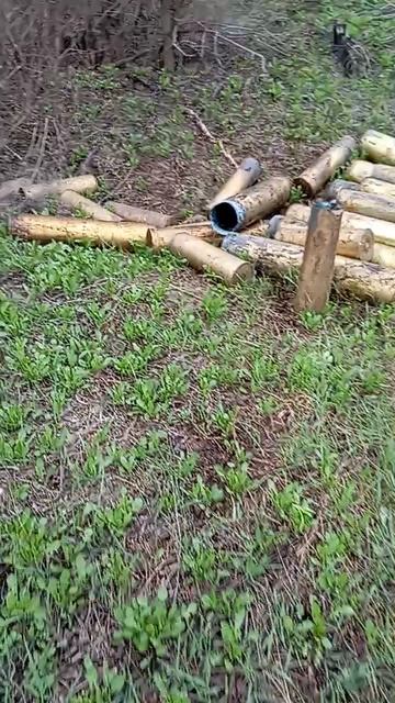 вот так сходил за грибочками