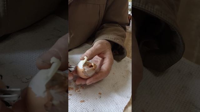 Как мы принимали роды...