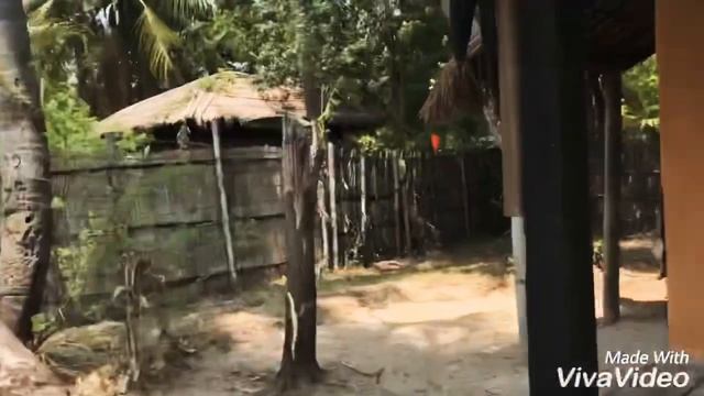 Mermaid Beach Resort Coxs Bazar My Bungalow
