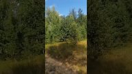 Прогулка по посёлку Юрино, замку Шереметево. Парку Шереметево ,Крепостной стене😁☕🍰🌹❤