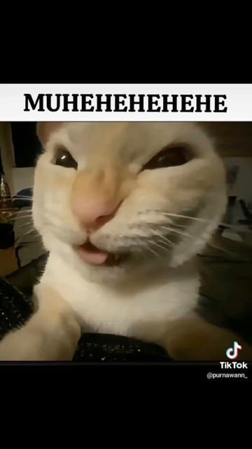 хех