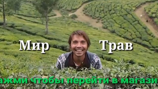 Мир Трав