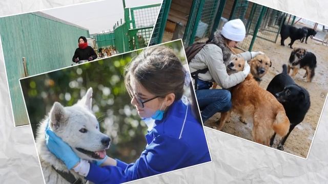 Я разошлась с мужчиной...