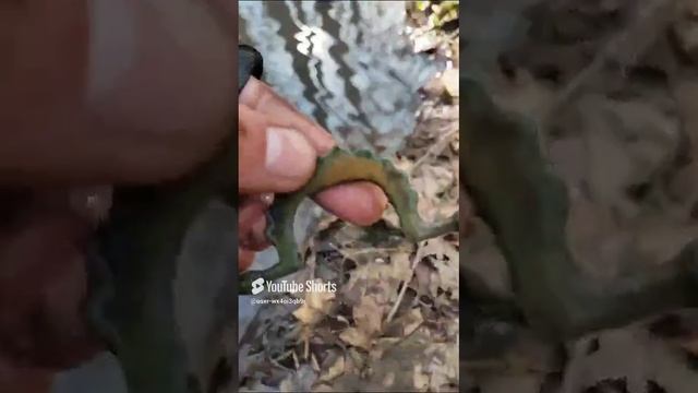 1000033109.mp4