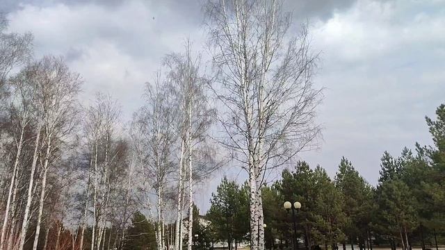 Прогулка по Полянам. Часть 2