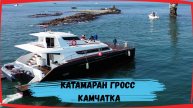 Морские прогулки, авторские туры и рыбалка на Катамаране Гросс. Камчатка.