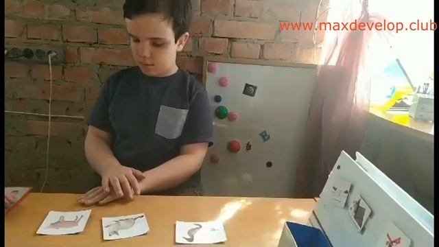 Поведение слушателя. Выбор объекта по присущему ему звуку