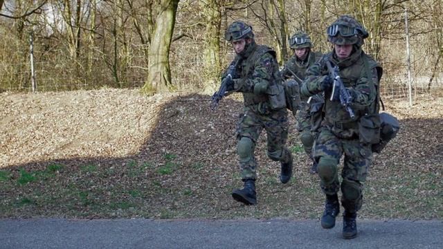 Swiss Army (Swiss Armed Forces)