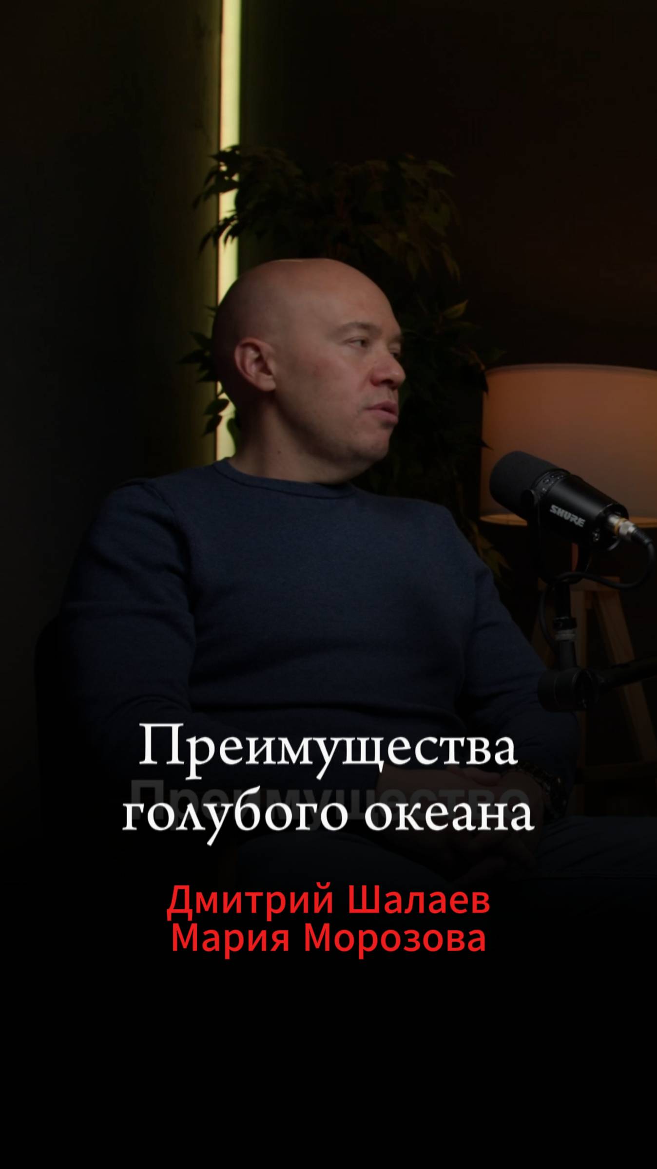 Товары голубые океаны – лучшая стратегия на Вайлдберриз и Озон для новичков и селлеров без денег