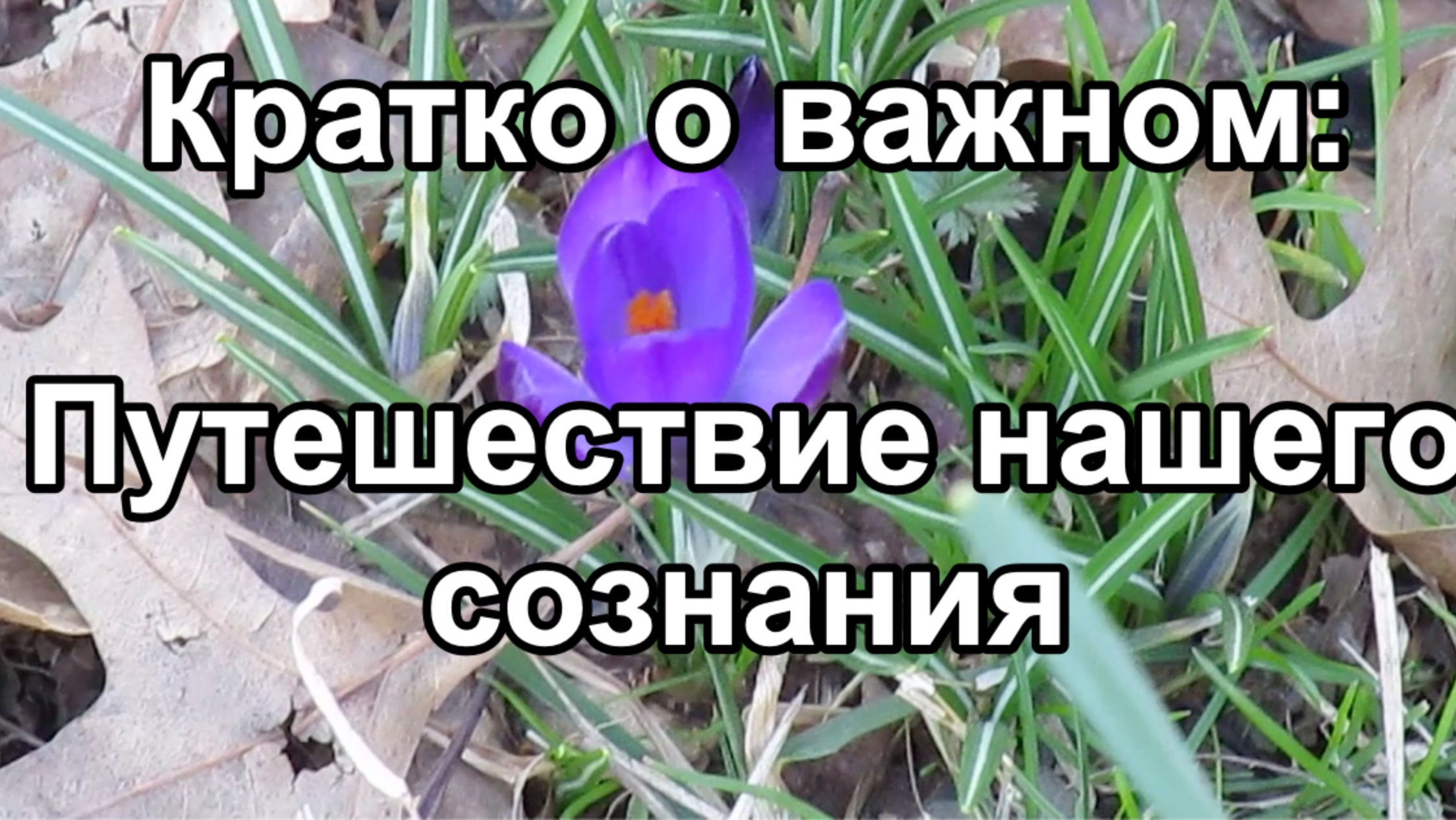 Кратко о важном: Путешествие нашего сознания