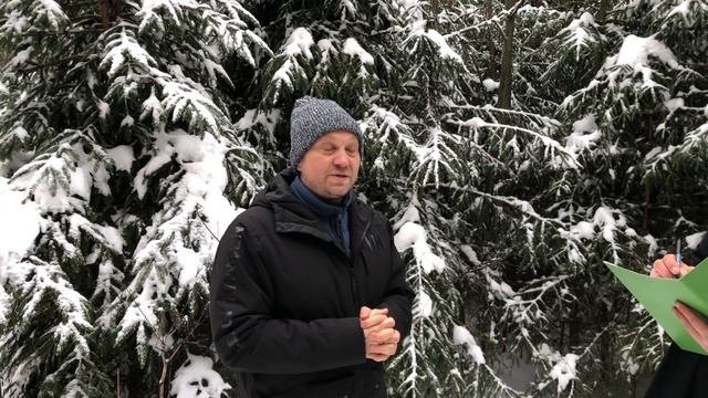 Дача ландшафтного дизайнера: начало благоустройства.