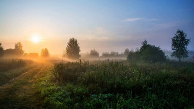 Щебет Птиц на Рассвете в Деревне. Утреннее Пение Птиц