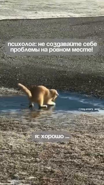1000021267.mp4