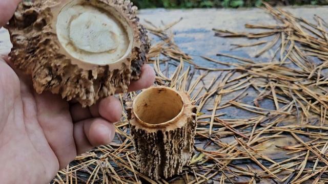 Шкатулка из рога лося