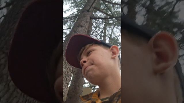 обзор на бытху 1 часть