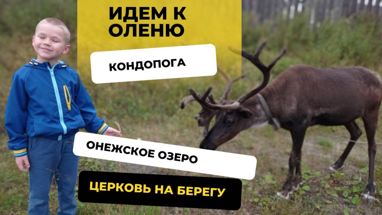 КАРЕЛИЯ .  Церковь пресвятой Богородицы. КОНДОПОГА.