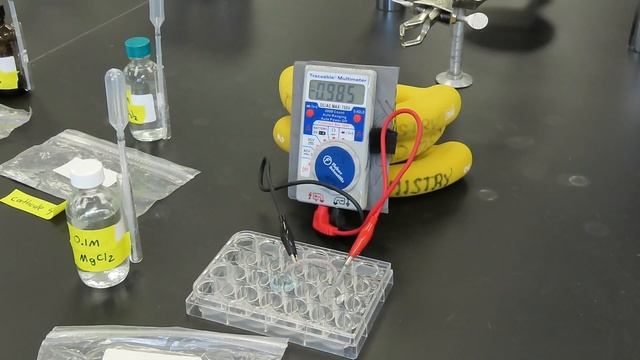 CHEM 1112L Experiment 10: Electrochemistry (lab demonstration)