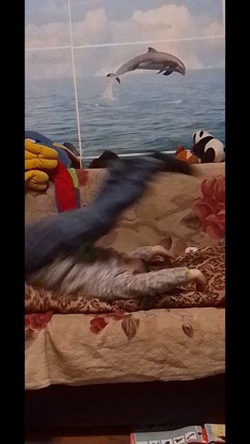 1000008589.mp4
