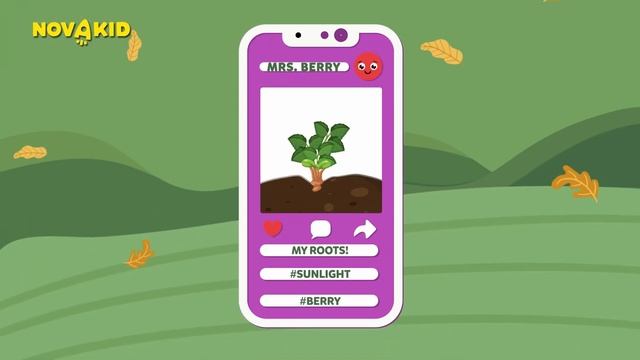 How plants Grows Learn Plant Life Cycle in English | Fun for Kids!