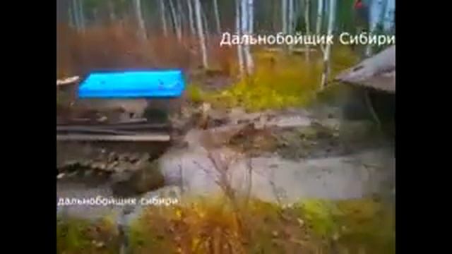 ТТ-4 лесной монстр