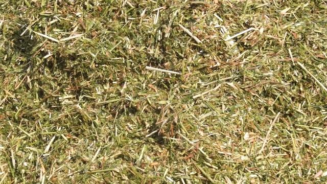 Агрофирма "Лада": заготавливаем корма, готовимся к уборке