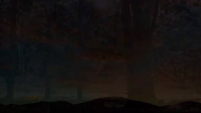 Cynthia Soroka-Dunn Fine Art Nature Photographer