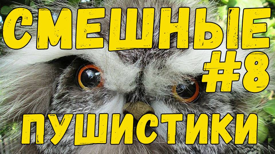 СМЕШНЫЕ ПУШИСТИКИ / ЛУЧШИЕ ПРИКОЛЫ С ЖИВОТНЫМИ 2025 #8