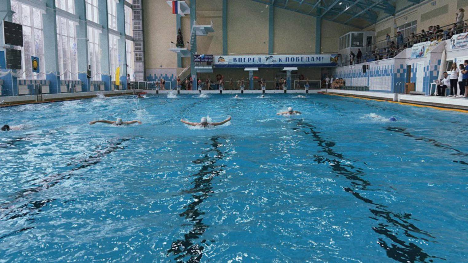Кубок Нижегородской области по плаванию «Весёлый дельфин»