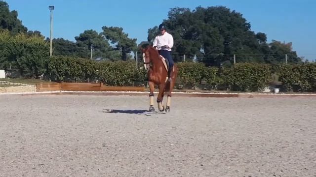 Fany Plus (Han mare 5 Yold) - Furst Romancier x Diarra Plus by De Niro